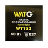 Лампа розжарювання WT153 E27, 60W, тепле світло 2700К, з гвинтовим ES 27мм цоколем, прозора, куля