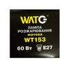 Лампа розжарювання WT153 E27, 60W, тепле світло 2700К, з гвинтовим ES 27мм цоколем, матова, куля