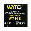 Лампа розжарювання WT145 E27, 40W, тепле світло 2700К, з гвинтовим ES 27мм цоколем, прозора, свічка