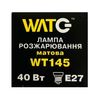 Лампа розжарювання WT145 E27, 40W, тепле світло 2700К, з гвинтовим ES 27мм цоколем, матова, свічка