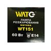 Лампа розжарювання WT151 E14, 60W, тепле світло 2700К, з гвинтовим SES 14мм цоколем, матова, куля