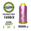 Нитки для вишивання 100% Полиестер, 120D/2, 5000м, 3007 (27), BN1