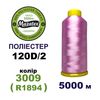 Нитки для вишивання 100% Полиестер, 120D/2, 5000м, 3009 (R1894), BN1