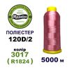 Нитки для вишивання 100% Полиестер, 120D/2, 5000м, 3017 (R1824), BN4