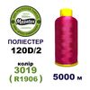 Нитки для вишивання 100% Полиестер, 120D/2, 5000м, 3019 (R1906), BN3