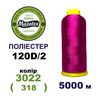 Нитки для вишивання 100% Полиестер, 120D/2, 5000м, 3022 (318), BN2
