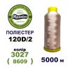 Нитки для вишивання 100% Полиестер, 120D/2, 5000м, 3027 (8609), BN19