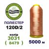 Нитки для вишивання 100% Полиестер, 120D/2, 5000м, 3031 (8479), BN13