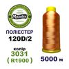 Нитки для вишивання 100% Полиестер, 120D/2, 5000м, 3031 (R1900), BN13