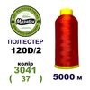 Нитки для вишивання 100% Полиестер, 120D/2, 5000м, 3041 (37), BN13