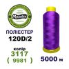 Нитки для вишивання 100% Полиестер, 120D/2, 5000м, 3117 (9981), BN8