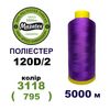 Нитки для вишивання 100% Полиестер, 120D/2, 5000м, 3118 (795), BN8