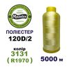 Нитки для вишивання 100% Полиестер, 120D/2, 5000м, 3131 (R1970), BN28