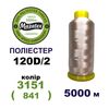 Нитки для машинної вишивки 100% поліестер, 120D/2, 5000м, 3151 (841), BN18
