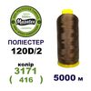 Нитки для машинної вишивки 100% поліестер, 120D/2, 5000м, 3171 (416), BN32