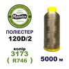 Нитки для машинної вишивки 100% поліестер, 120D/2, 5000м, 3173 (R746), BN33
