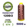 Нитки для машинної вишивки 100% поліестер, 120D/2, 5000м, 3186 (674), BN19