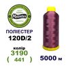 Нитки для машинної вишивки 100% поліестер, 120D/2, 5000м, 3190 (441), BN12