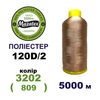 Нитки для машинної вишивки 100% поліестер, 120D/2, 5000м, 3202 (809), BN17