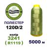 Нитки для машинної вишивки 100% поліестер, 120D/2, 5000м, 3241 (R1119), BN37