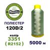 Нитки для машинної вишивки 100% поліестер, 120D/2, 5000м, 3351 (R2152), BN37