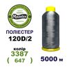 Нитки для машинної вишивки 100% поліестер, 120D/2, 5000м, 3387 (647), BN43